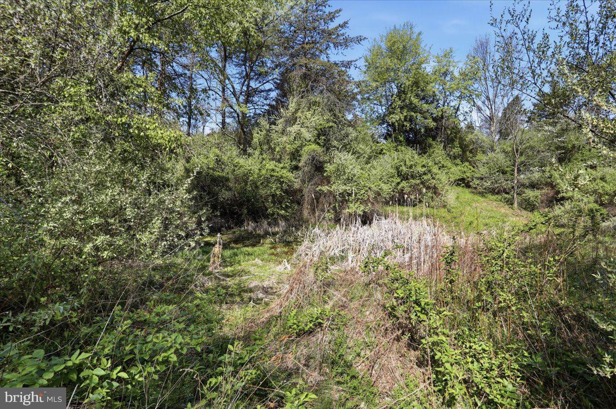 1264 Tearcoat Road Augusta, WV 26704 - Photo 38 of 43