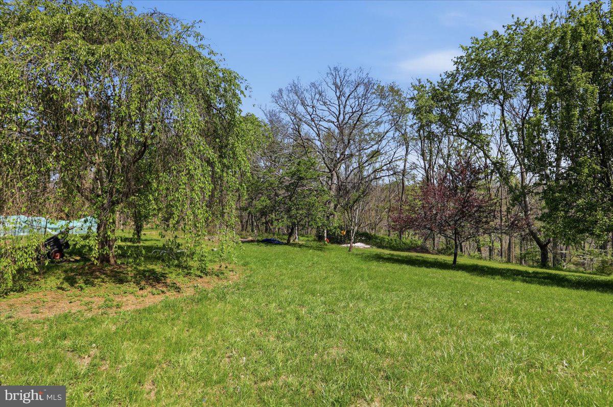1264 Tearcoat Road Augusta, WV 26704 - Photo 42 of 43