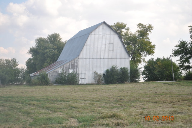 29039 South Warner Bridge Road Manhattan, IL 60442 - Photo 1 of 8 a view of a dry yard with large trees
