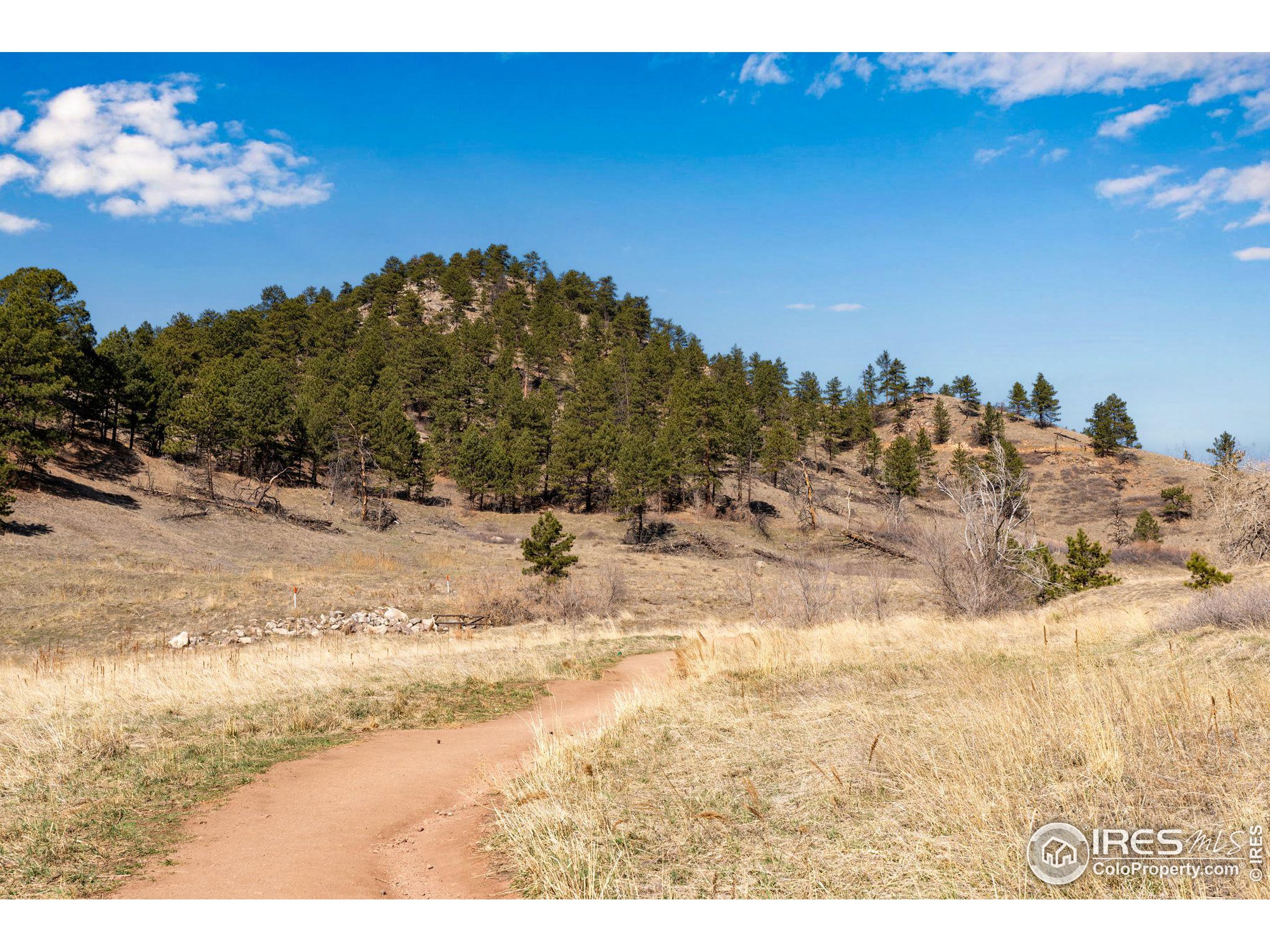 487 Pearl Street Boulder, CO 80302 - Photo 38 of 40