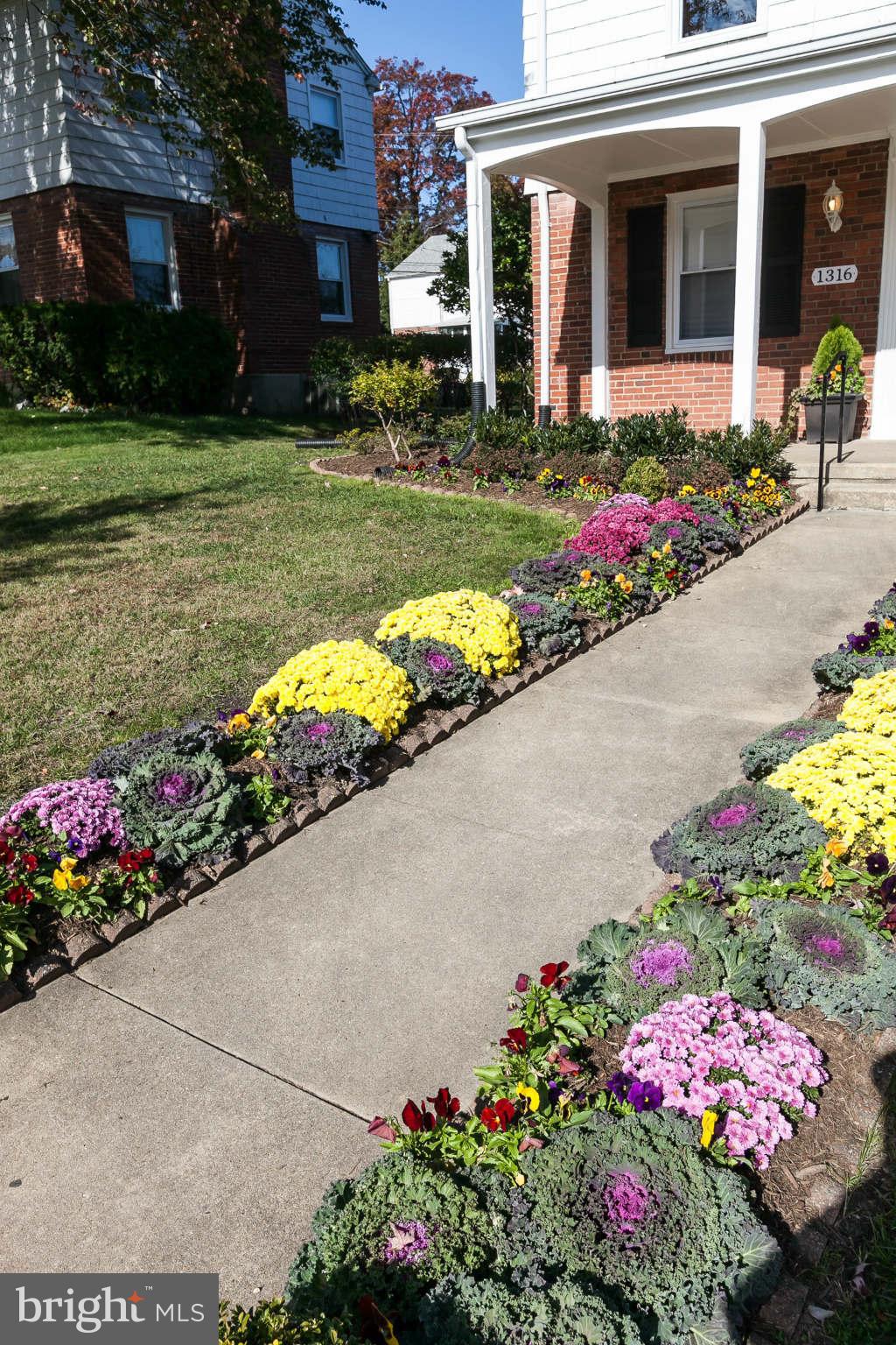 1316 East 35th Street Baltimore, MD 21218 - Photo 2 of 30 a front view of a house with a yard and flowers