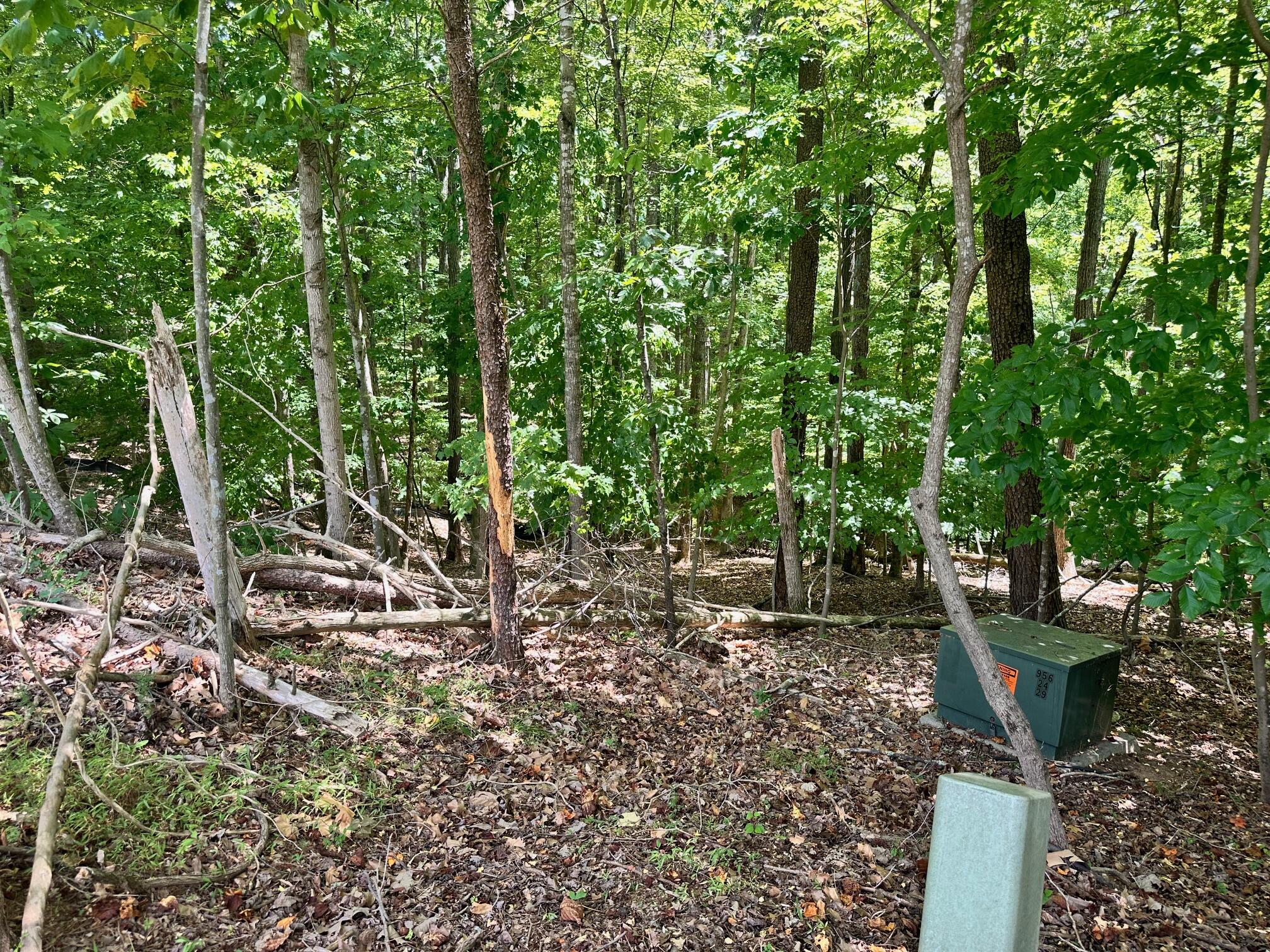 Lot 65 Ridgeway Court Moneta, VA 24121 - Photo 5 of 11 a view of a backyard with sitting area