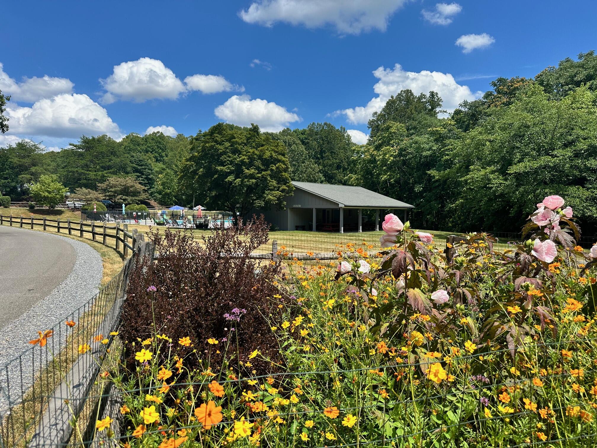 Lot 65 Ridgeway Court Moneta, VA 24121 - Photo 9 of 11 a view of a house with a yard and garden