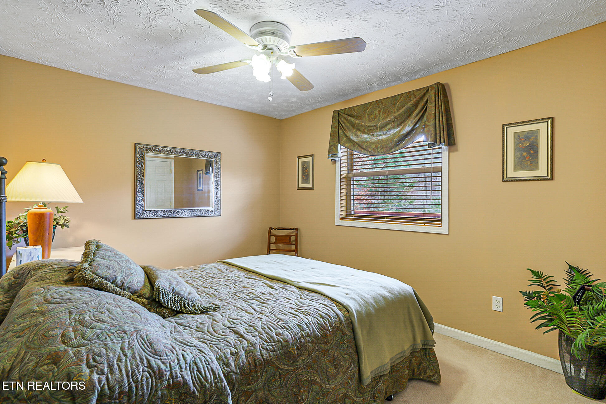 429 Filet Lane Dandridge, TN 37725 - Photo 28 of 59 429 Filet Ln-39