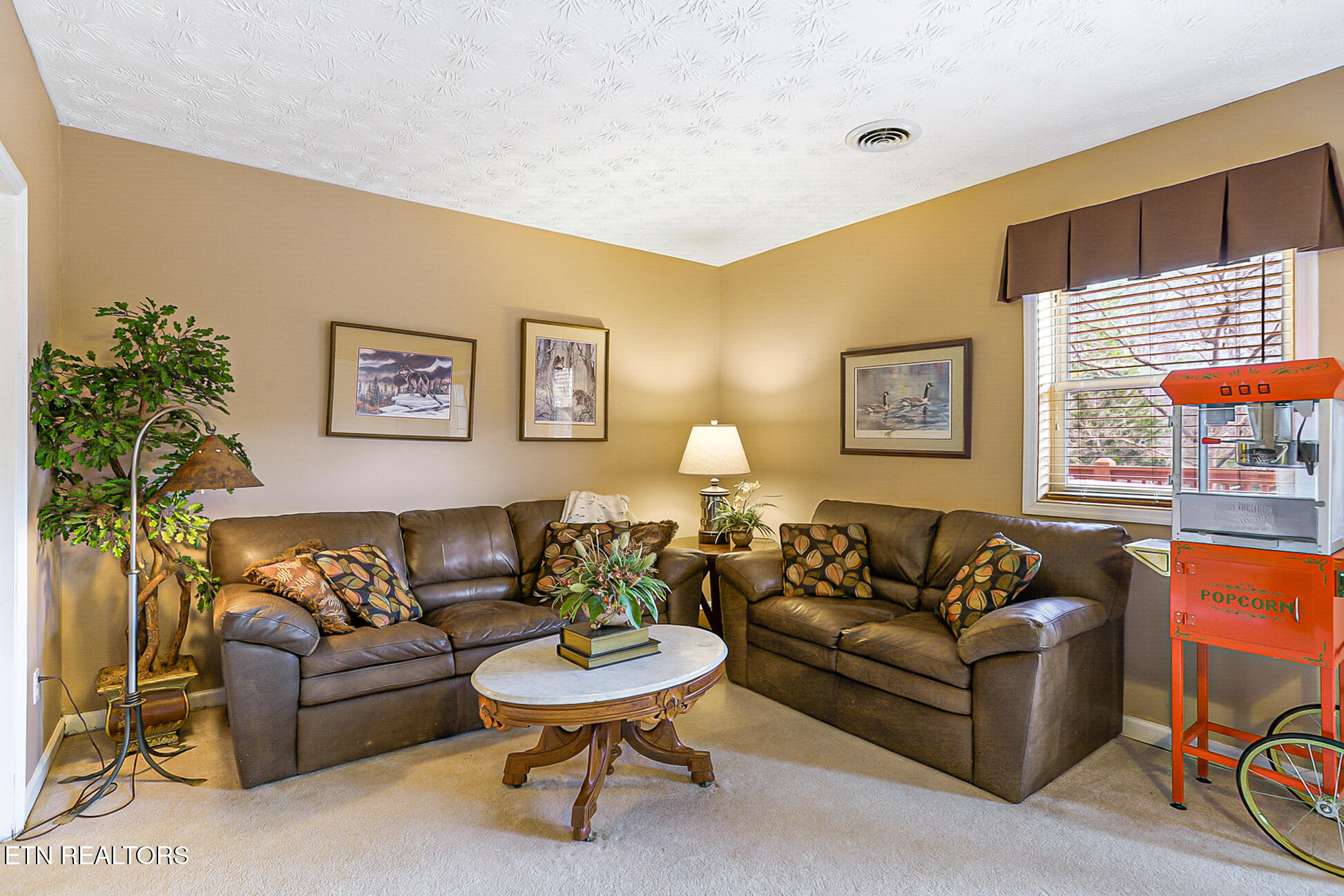 429 Filet Lane Dandridge, TN 37725 - Photo 34 of 59 429 Filet Ln-114