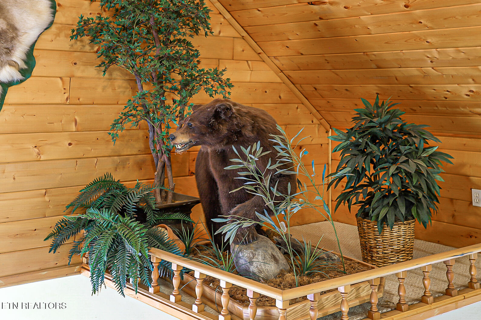 429 Filet Lane Dandridge, TN 37725 - Photo 39 of 59 429 Filet Ln-201