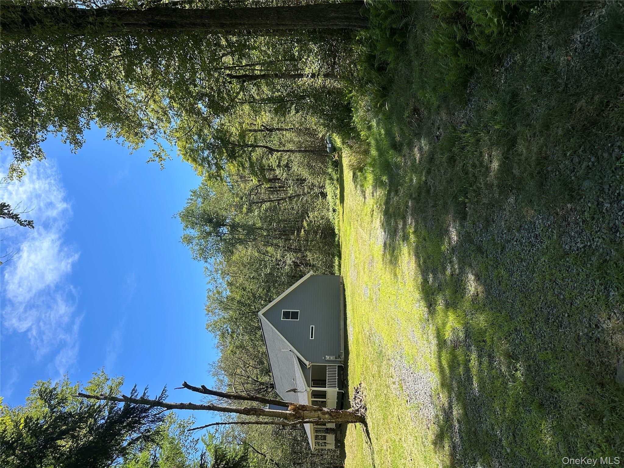 64 Schleiermacher Road Livingston Manor, NY 12758 - Photo 2 of 37 a view of an house with a yard