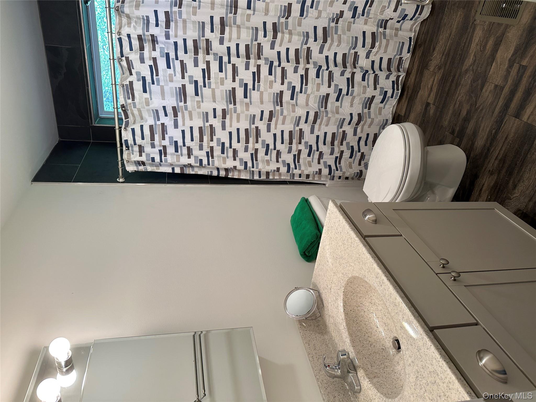 64 Schleiermacher Road Livingston Manor, NY 12758 - Photo 23 of 37 a bathroom with a granite countertop toilet a sink and a mirror