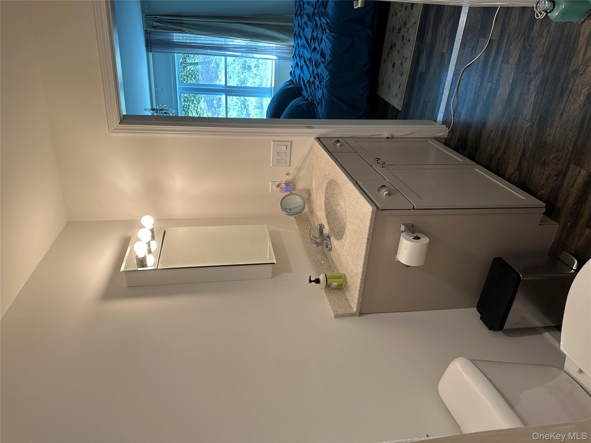 64 Schleiermacher Road Livingston Manor, NY 12758 - Photo 28 of 37 a spacious bathroom with a double vanity sink and a toilet