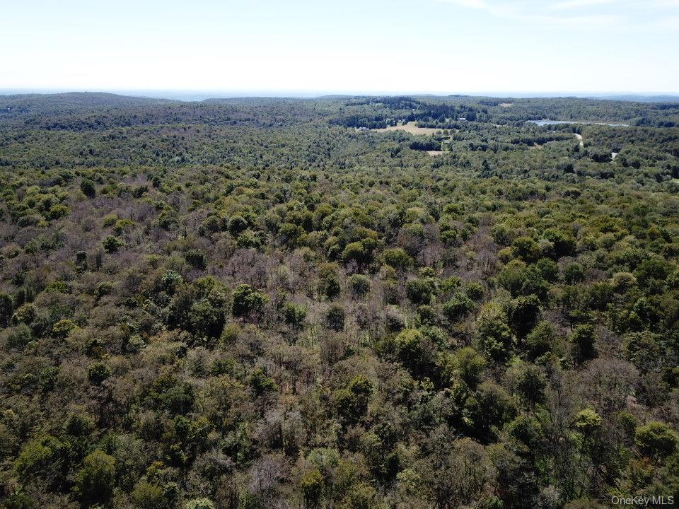 64 Schleiermacher Road Livingston Manor, NY 12758 - Photo 33 of 37 a view of a large yard with lots of trees