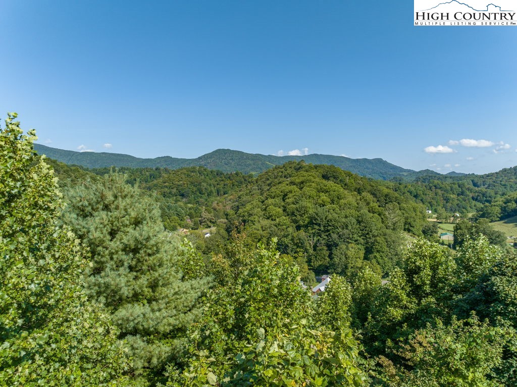 Old Barn Road Vilas, NC 28692 - Photo 12 of 27 Gallery Image 12