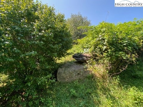 Old Barn Road Vilas, NC 28692 - Photo 22 of 27 Gallery Image 22