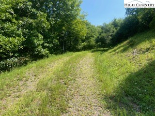 Old Barn Road Vilas, NC 28692 - Photo 4 of 27 Gallery Image 4