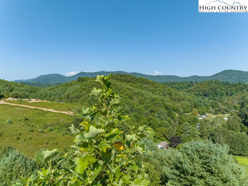 Old Barn Road Vilas, NC 28692 - Photo 10 of 27 Gallery Image 10