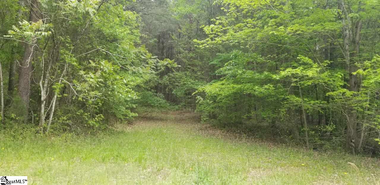 204 Irene Road Gray Court, SC 29645 - Photo 1 of 2 Gallery Image 1