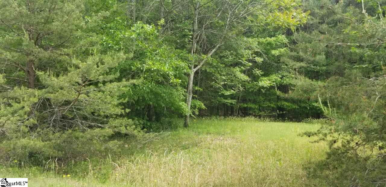 204 Irene Road Gray Court, SC 29645 - Photo 2 of 2 Gallery Image 2