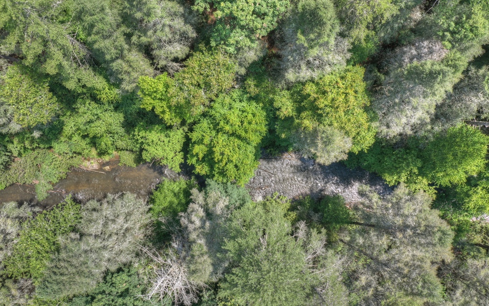 Lt38 River Road Cherry Log, GA 30522 - Photo 11 of 14 Additional View