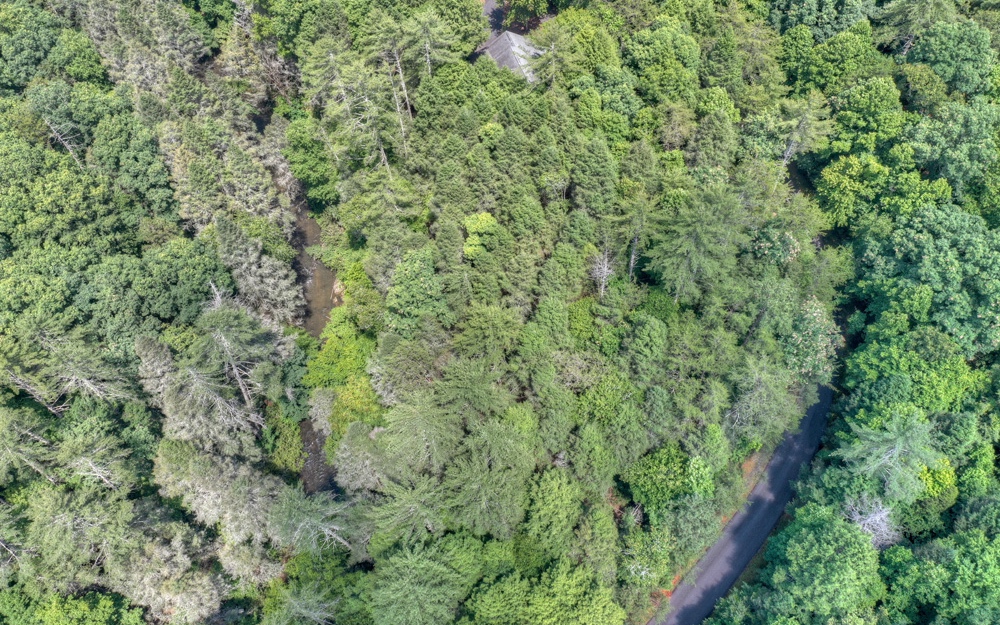 Lt38 River Road Cherry Log, GA 30522 - Photo 12 of 14 Additional View