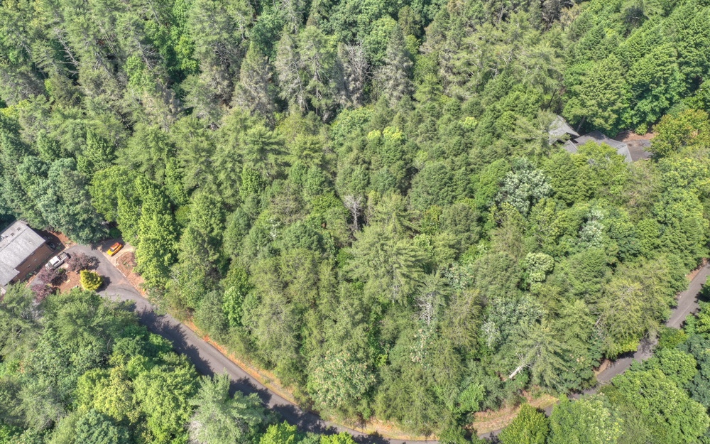 Lt38 River Road Cherry Log, GA 30522 - Photo 13 of 14 Additional View