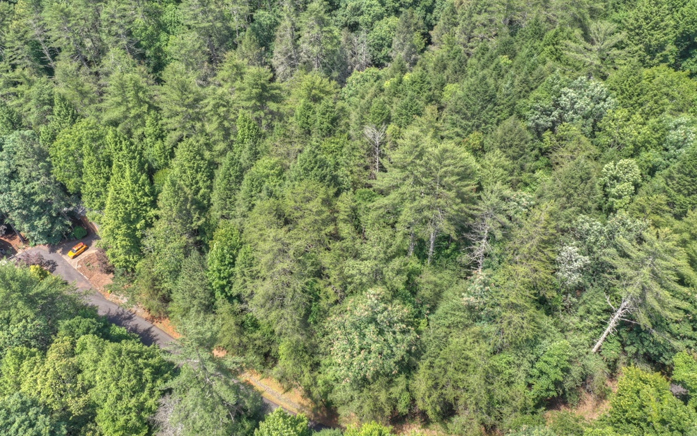 Lt38 River Road Cherry Log, GA 30522 - Photo 14 of 14 Additional View