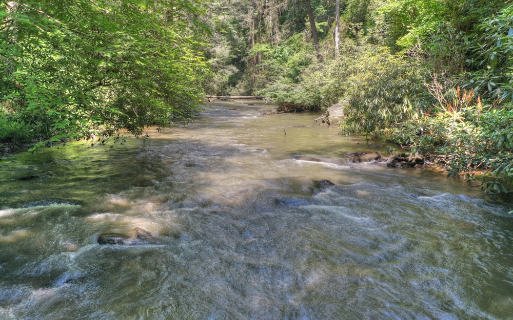 Lt38 River Road Cherry Log, GA 30522 - Photo 2 of 14 Additional View