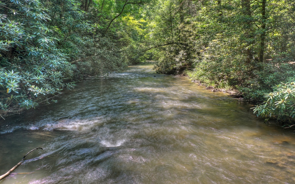 Lt38 River Road Cherry Log, GA 30522 - Photo 3 of 14 Additional View