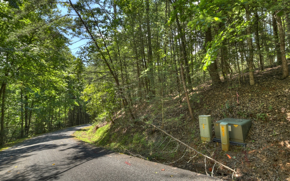 Lt38 River Road Cherry Log, GA 30522 - Photo 4 of 14 Additional View