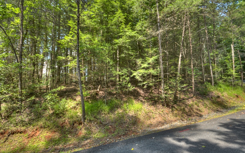 Lt38 River Road Cherry Log, GA 30522 - Photo 5 of 14 Additional View