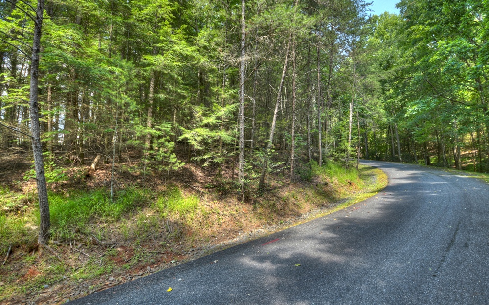 Lt38 River Road Cherry Log, GA 30522 - Photo 6 of 14 Additional View