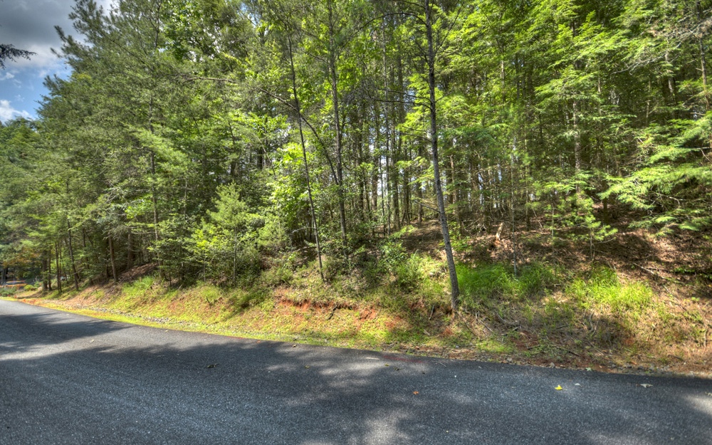 Lt38 River Road Cherry Log, GA 30522 - Photo 7 of 14 Additional View