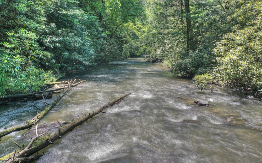 Lt38 River Road Cherry Log, GA 30522 - Photo 9 of 14 Additional View