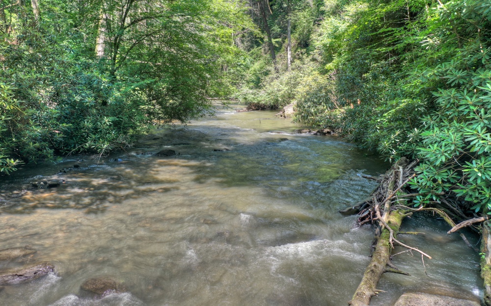 Lt38 River Road Cherry Log, GA 30522 - Photo 10 of 14 Additional View