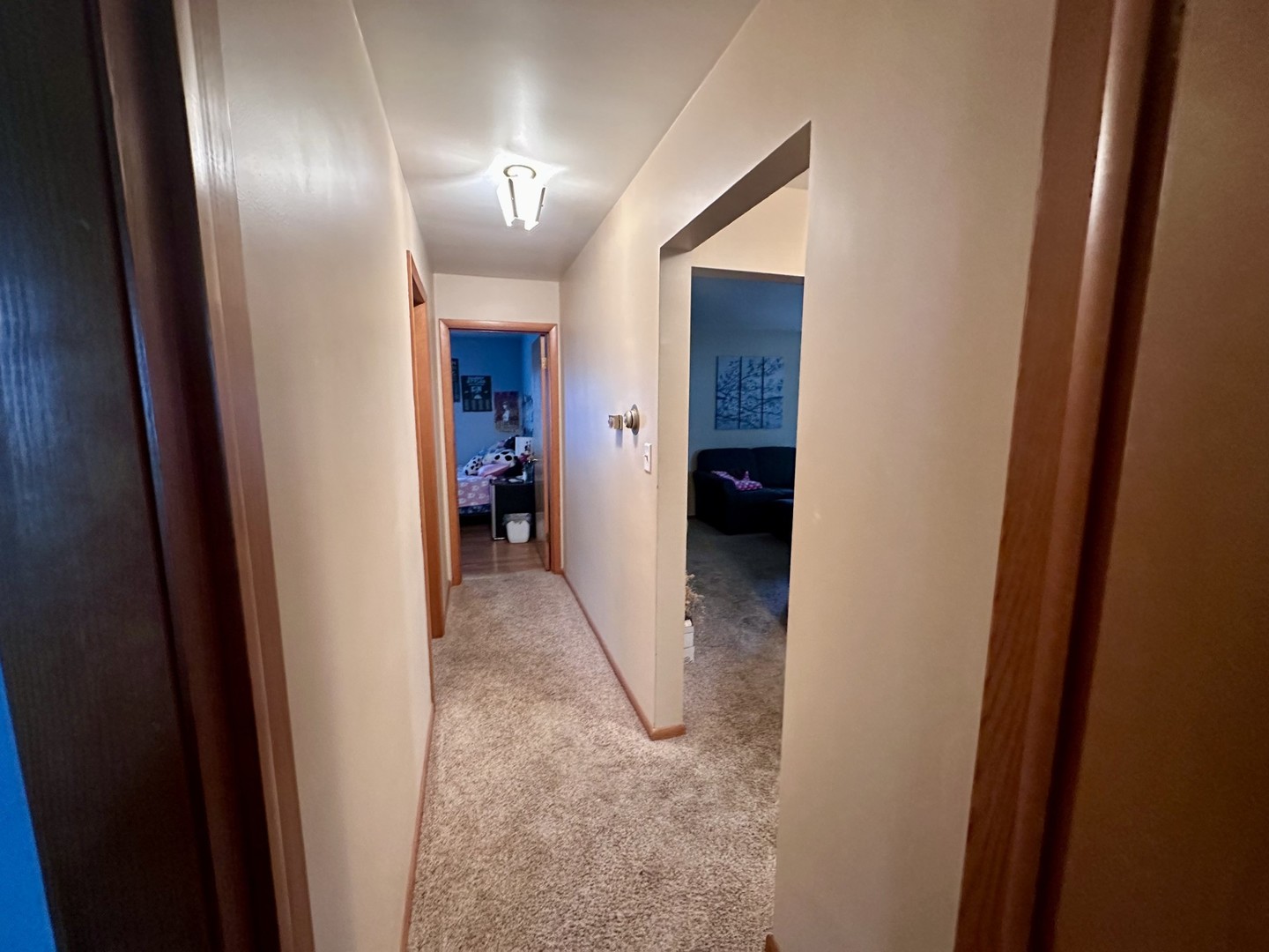 1724 9th Street Peru, IL 61354 - Photo 6 of 12 Gallery Image 6