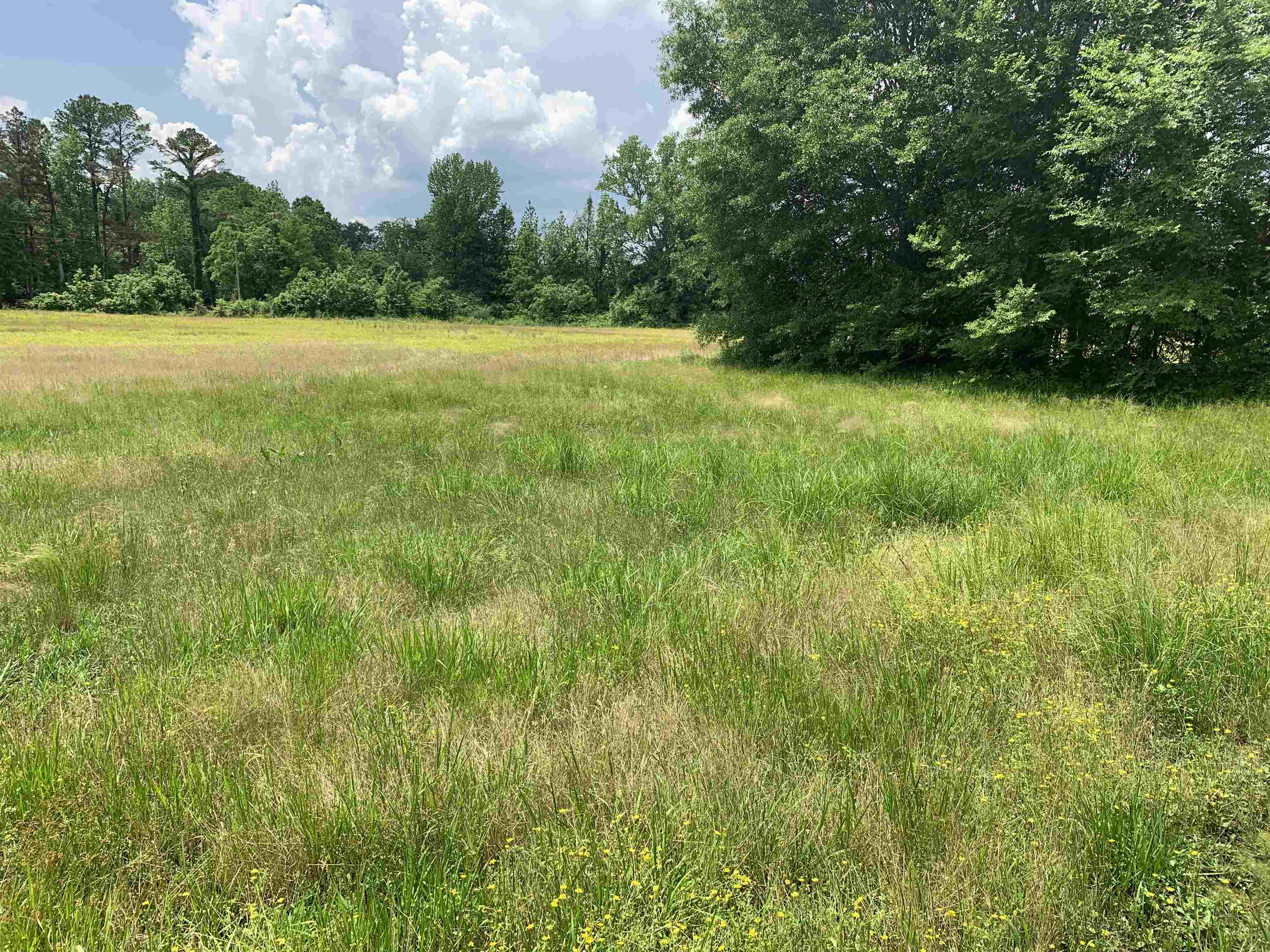 1754 Mt Vernon Road Ramer, TN 38367 - Photo 4 of 12 a view of an ocean from a yard