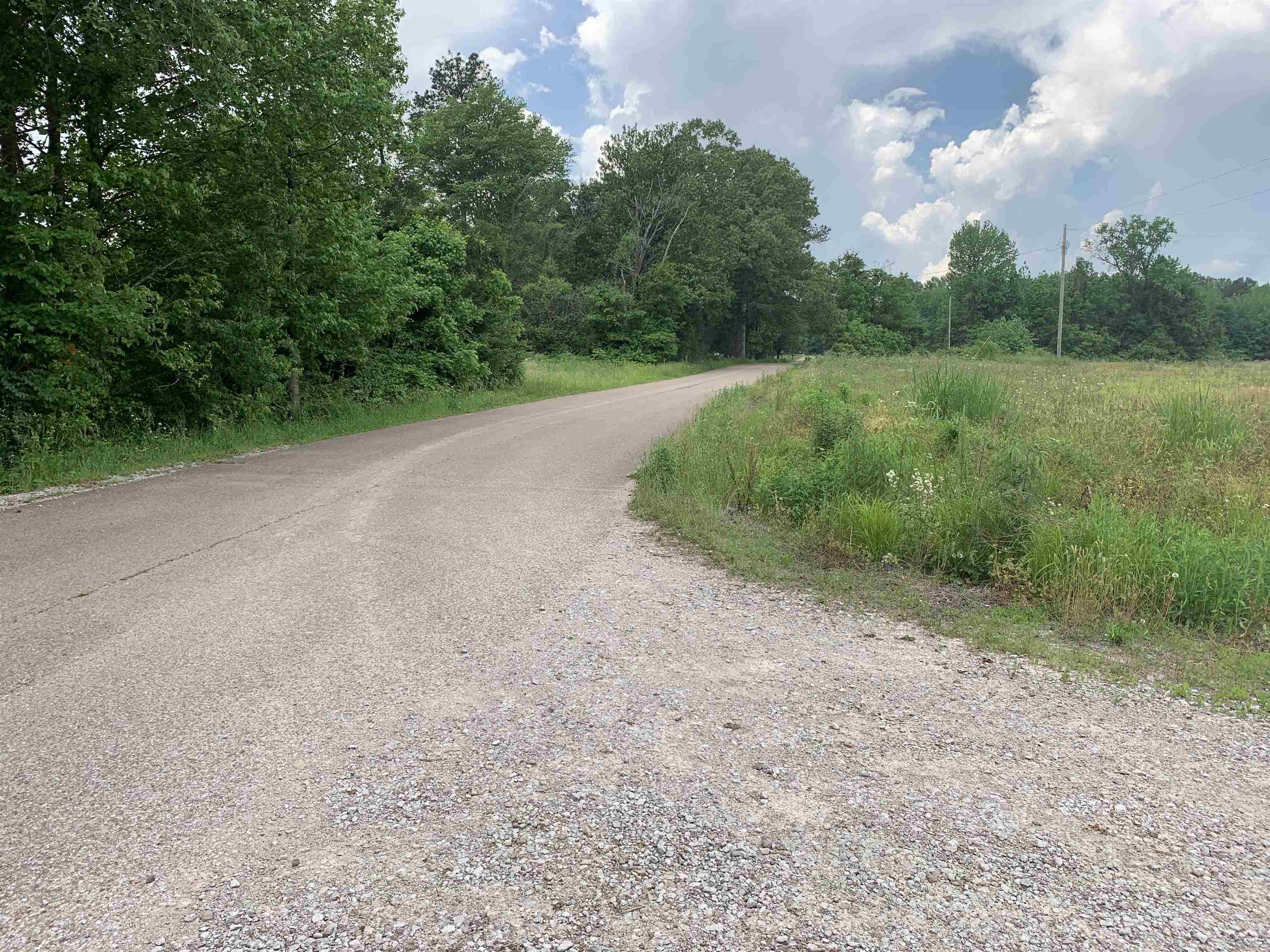 1754 Mt Vernon Road Ramer, TN 38367 - Photo 9 of 12 a view of a field with trees in background