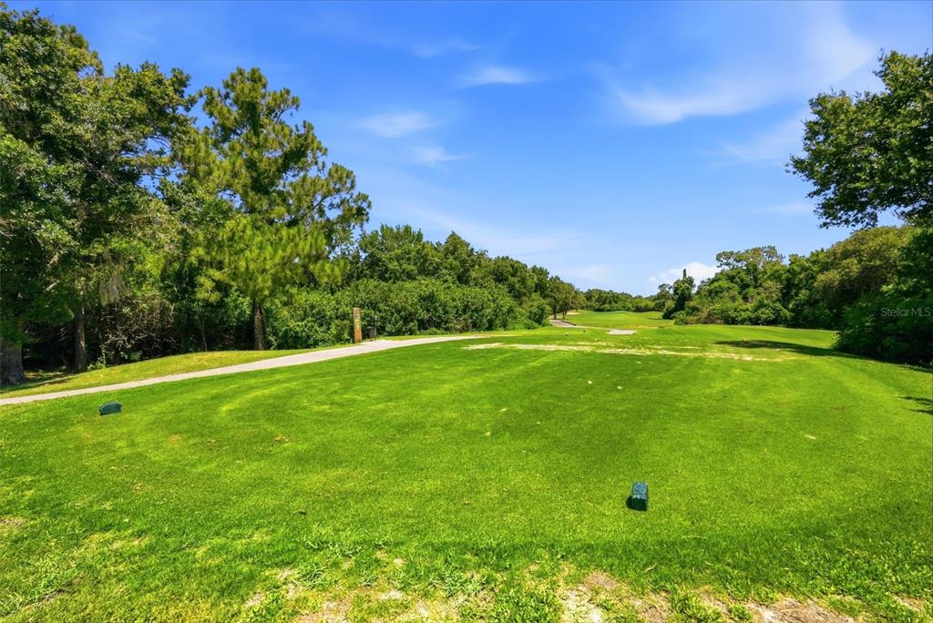 13010 Prestwick Drive Riverview, FL 33579 - Photo 41 of 60
