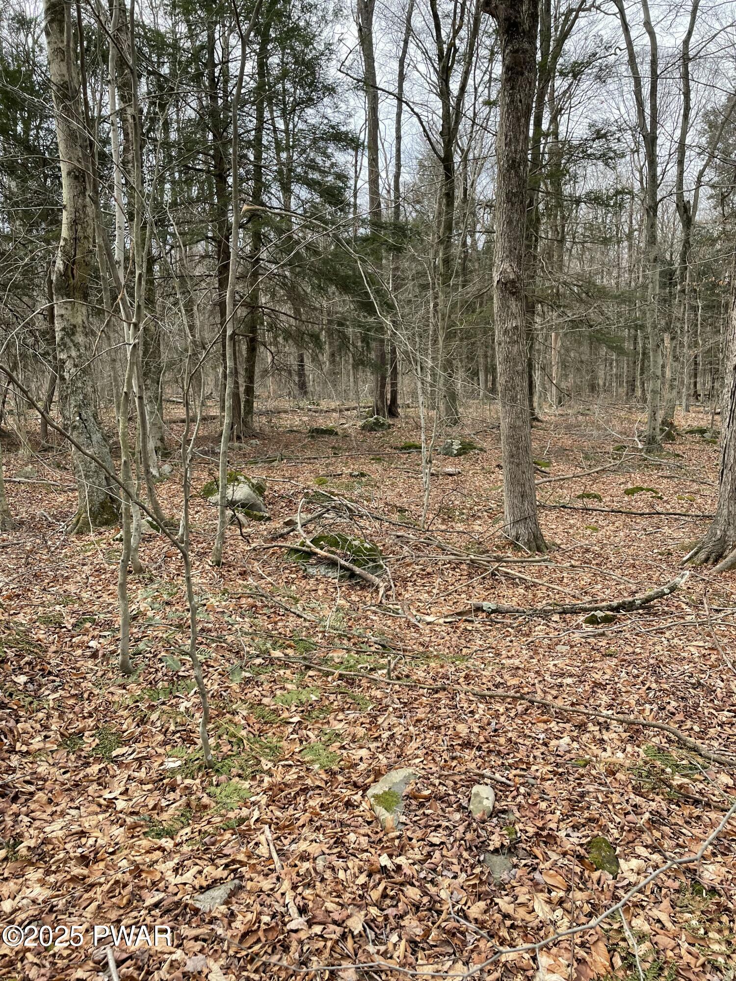 Lot 270 Radcliff Lane Bushkill, PA 18324 - Photo 10 of 10