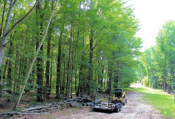 $35,000 | 0 Northeast Chwastek Road, Kalkaska, MI 49646