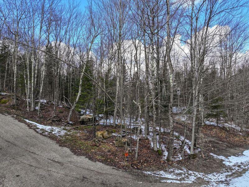 0 Johnson Road Malone, NY 12953 - Photo 18 of 29