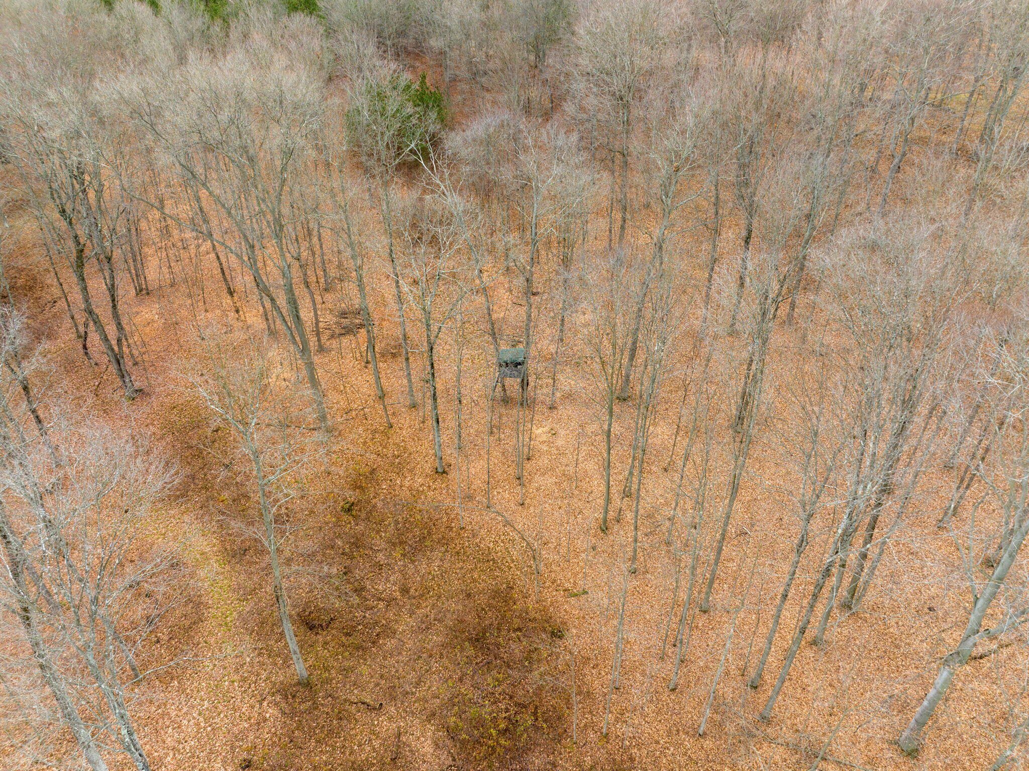 0 2 2 Mile Road, Unit 2 Reed City, MI 49677 - Photo 7 of 18 11-web-or-mls-DJI_0867