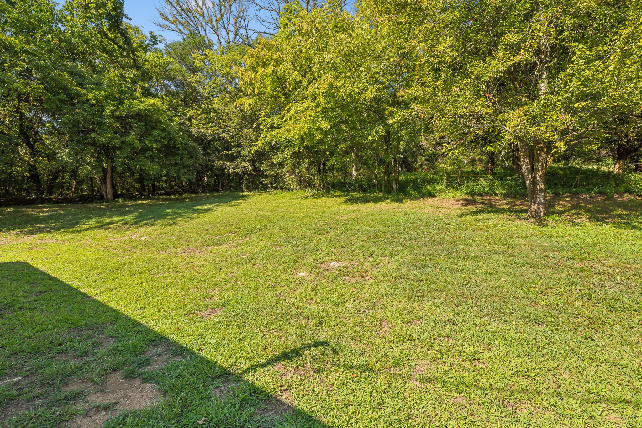 87 Gladdice Road Pleasant Shade, TN 37145 - Photo 42 of 47 a view of a yard with a large trees
