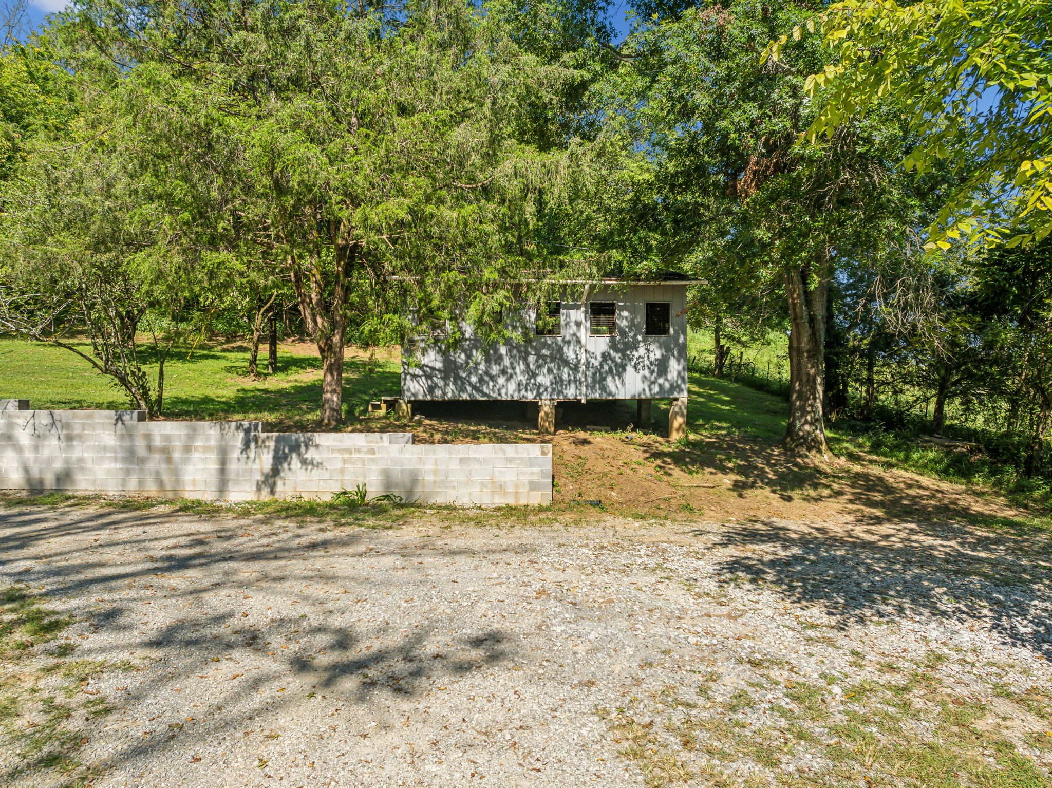 87 Gladdice Road Pleasant Shade, TN 37145 - Photo 47 of 47 a view of a yard with plants and trees