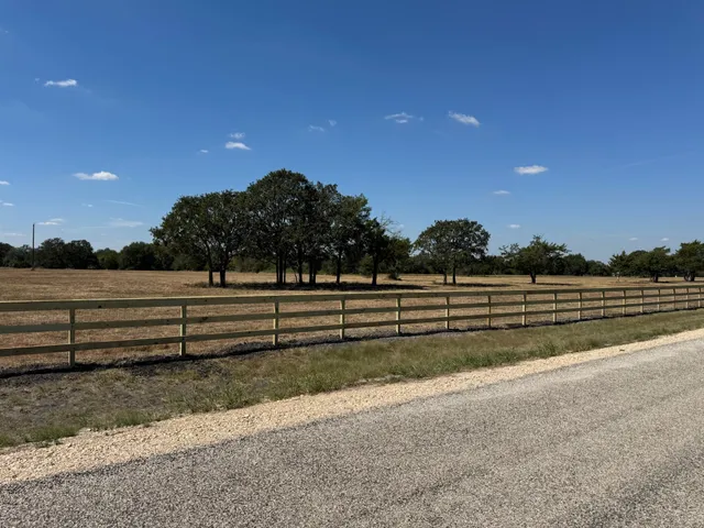 a view of a hallway with a flower pot and a wall painting