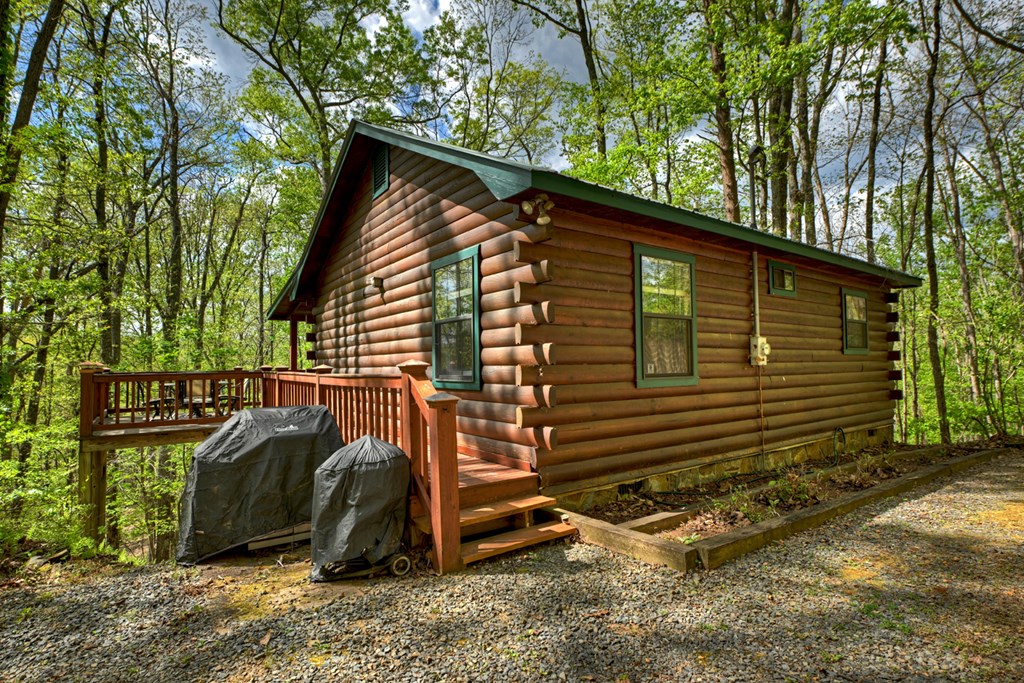 660 Ripshin Mountain Road Blue Ridge, GA 30513 - Photo 26 of 40