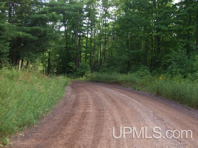 C-wi Island Lake Road, Unit 23 Hurley, WI 54534 - Photo 4 of 7