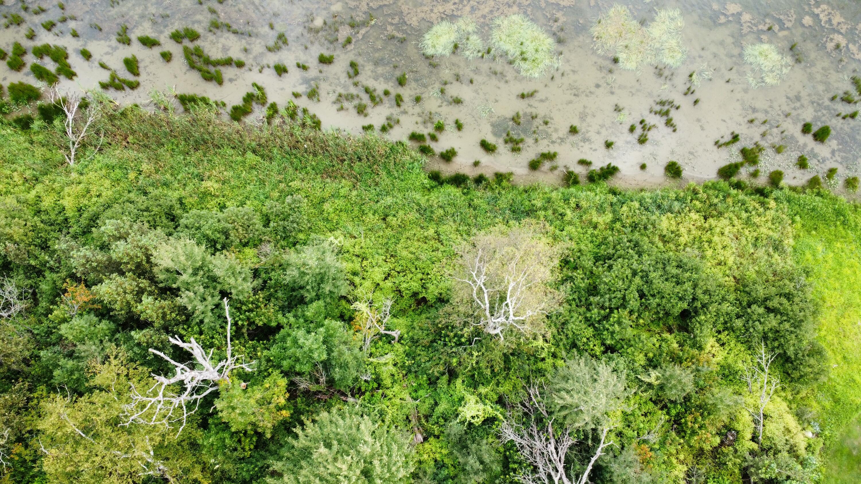 Lot 91 Island Road St. Agatha, ME 04772 - Photo 19 of 20 dji_fly_20240819_133358_45_1724088847127