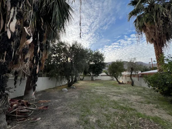 a view of a backyard with a tree