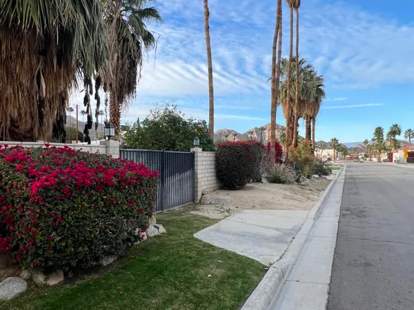 a view of a potted plants next to a road
