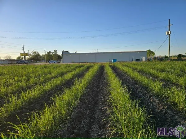 $100,000 | 20 Hwy Vacherie La, Vacherie, LA 70090