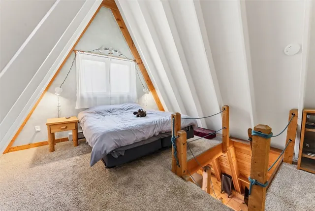 on a city view with tall trees